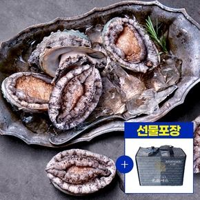 (선물포장세트) 국내산 해남 완도 활전복 1kg (5-6미) + 전복칼