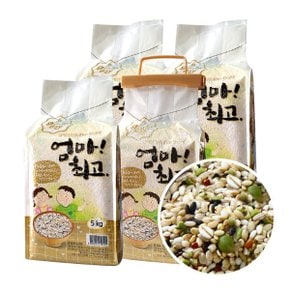 국산 혼합15곡 10kg/20kg (5kg진공포장)