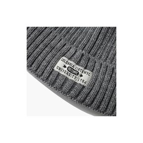 COLUMBIA NYC BEANIE 그레이