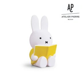 [ATELIER PIERRE] 아뜰리에 피에르 미피 리딩 머니 박스 L 옐로우