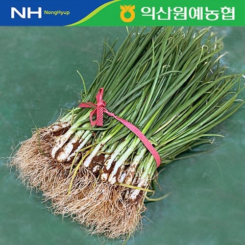상품이미지4