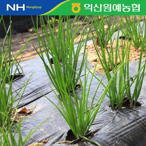 상품이미지5