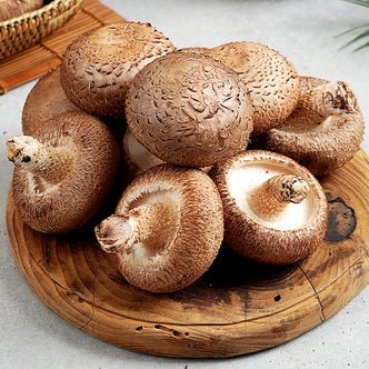 지투지샵 무농약 생표고버섯 상품 2kg