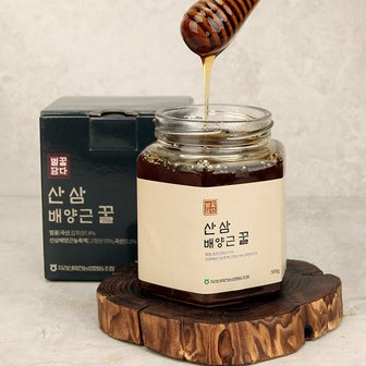 지리산마천농협 [9/11 오전8시 결제 건까지 명절전배송][지리산 마천농협] 지리산 산삼 배양근 꿀(병) 500g