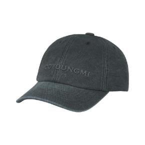 다잉 로고 볼캡 그레이   26SS W261CA54979G