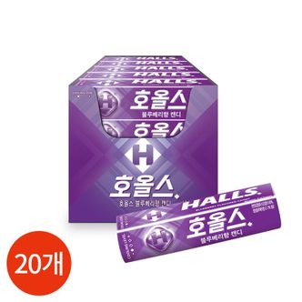 다산 호올스 블루베리향 캔디 27.9g x 20개[33256060]