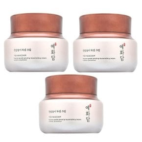 예화담 천삼송이 자생 크림 50ml 3개