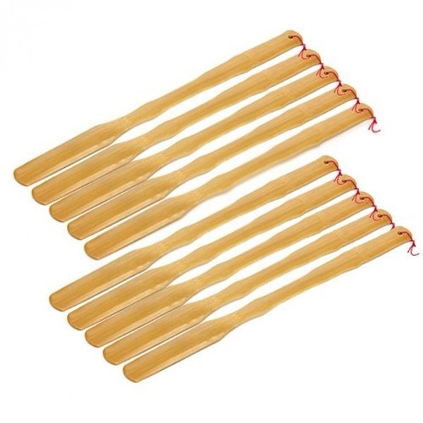 확대된 대표 image1