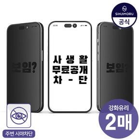 2매 프라이버시 베이직 강화유리 사생활보호