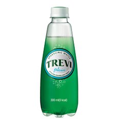 트레비 탄산음료 플레인 300ml 20패트