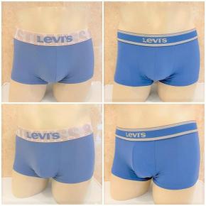 Levis Bodywear 샴페인 골드 밴드 남성드로즈95110 LSMDA1U2SG