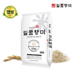  일품향미 골든퀸 3호 백미 쌀 10kg 2023년 햅쌀