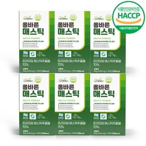 올바른 올바른 매스틱 600mg x 90정 x 6박스