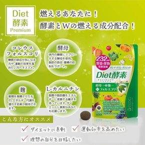 diet 232 & 120 2 효소 종류 야채 과일 발효 응축 식물 효소 유산균 발효 연소 성분 배합 알갱이