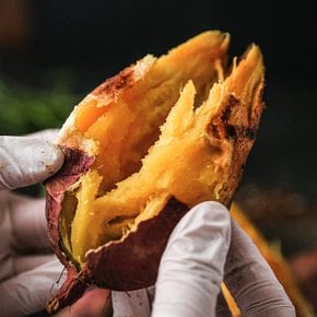 산지직송 해남 세척 베니하루카 꿀고구마 특상 3kg