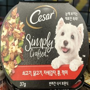 반려동물용품 시저 심플리 크래프트 소고기 닭고기 반려견 사료 37g 애완용품