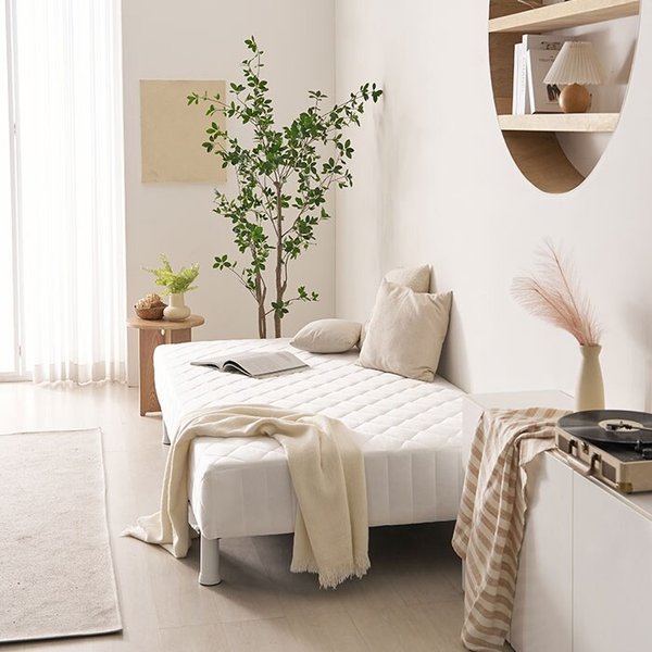 1인용 원룸 작은방 자취방 라텍스 일체형침대 (일반형) SS DB5008R (착불)