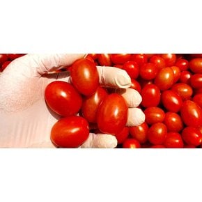 [황종운님 생산] 자연맛남 국내산 꼭지없는 대추방울토마토 2.5kg (중대과)