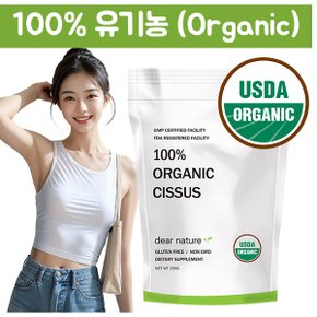 디어네이처 유기농(Organic) 시서스가루 250g 3팩 타먹는 시서스파우더 [미농림부 USDA 인증]