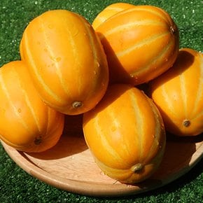가정용 성주 참외 소과 1kg(5-8과 내외)