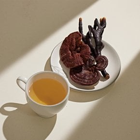 머쉬아트 유기농 버섯차 세트 4종