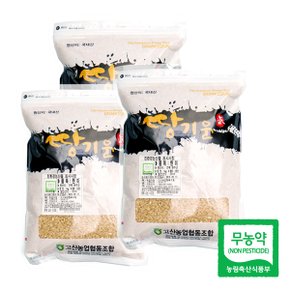 친환경 땅기운 현미1kgx3팩(3kg)