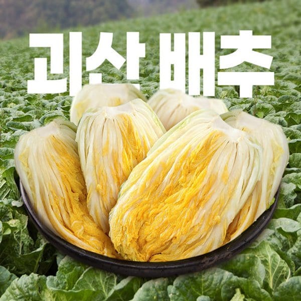 확대된 대표 image1