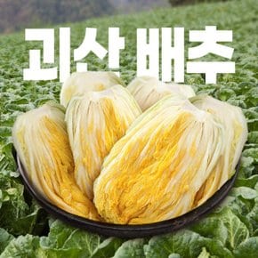 [예약배송] 90일자란 괴산 절임배추 20kg