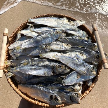  바다어보 국산 디포리 300g 상급 건디포리 밴댕이 국물용멸치