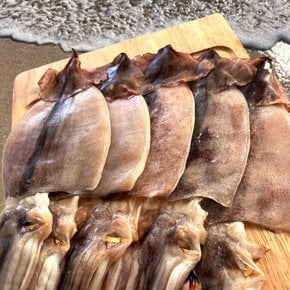 바다어보 국산 반건조오징어 10마리(중) / 동해안 반건오징어