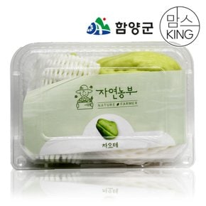 함양자연농부 지리산 함양 차요테 1kg