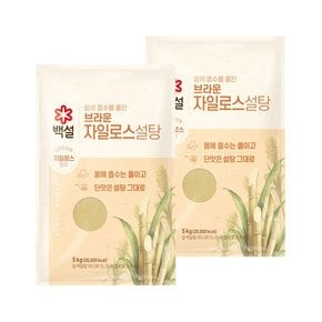 백설 브라운 자일로스 설탕 5kg x2개