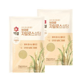 CJ제일제당 백설 브라운 자일로스 설탕 5kg x2개