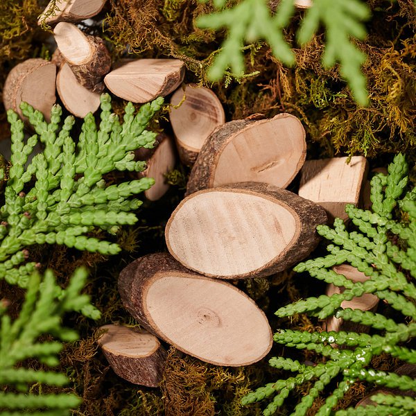 자주 그린 포레스트 퍼퓸바 100g J81N902049900