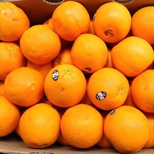  실속형 네이블 오렌지 대과 17kg (48-72입 내외)