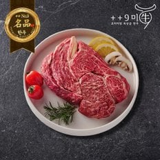 [냉장]1++No9등급 투뿔 한우 등심 구이용 500g