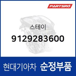 스테이 (9129283600) 유니버스 스페이스, 11톤 트럭, 8톤 트럭, 23톤 트럭, 뉴 슈퍼 에어로 시티, 에어로 스페이스, 에어로 퀸/익스프레스, 유니버스 익스프레스, 트라고 엑시언트 4X2, 트라고 엑시언트 6X4, 트라고 6X4, 뉴 파워트럭 4X2, 뉴