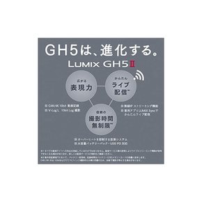 파나소닉 미러리스 일안 카메라 루믹스 GH5M2 보디 블랙 DC-GH5M2