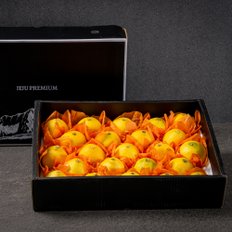 제주직송  황금향 선물용 4.5kg 소과 24-30과+부직포가방