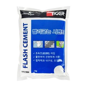 철물팩토리 빨리굳는시멘트 백색 1kg 1개 소포장 가정용 욕실