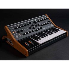 moog 모그  Subsequent 25 아날로그 신디사이저