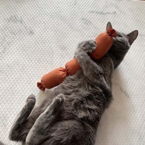 블랭크데이 비엔냥 캣닢 마따따비 쿠션
