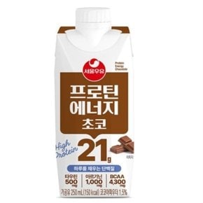 서울우유 프로틴에너지 초코 250ml 18개