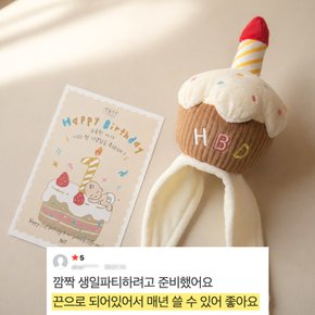 아기 기념일 생일 케이크 모자 성인 돌 선물