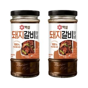 백설 돼지갈비양념 290g x2개