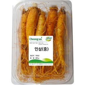 인삼 (중) 300g