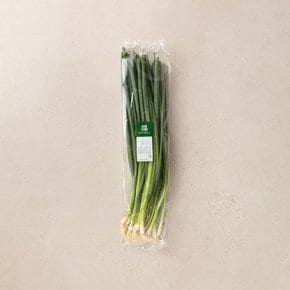 실파 200g