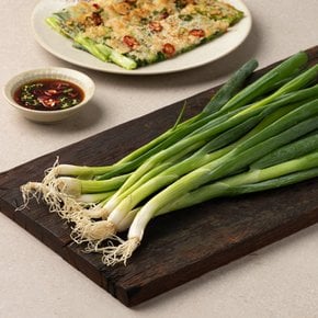 실파 200g
