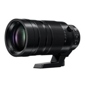 파나소닉 라이카 렌즈 100-400mm/F4.0-6.3/H-RS100400