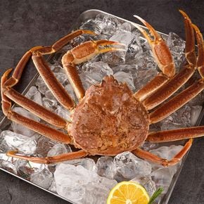 [물맛남 대게] 살이 꽉 찬 러시아대게 3kg (2-3미/자숙)[32201228]